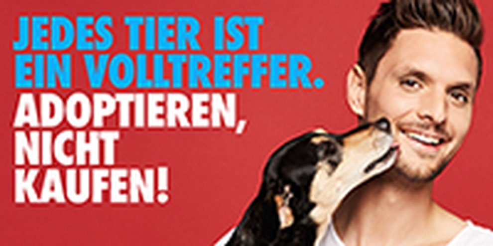 Sven Ulreich: Tiere adoptieren, nicht kaufen!