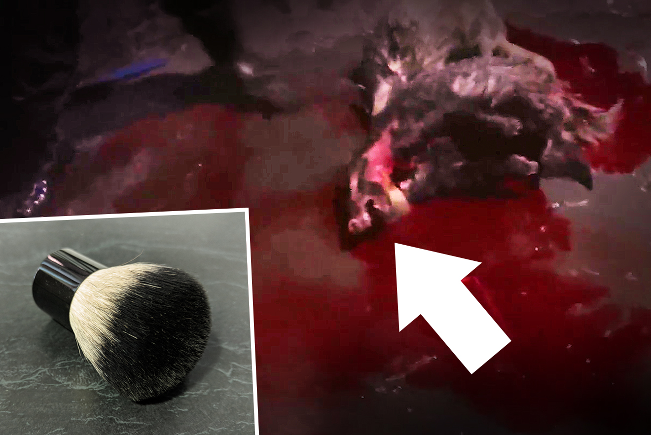 Dachse für Pinsel geschlagen und getötet â werden Sie jetzt aktiv! Dachse für Pinsel geschlagen und getötet â werden Sie jetzt aktiv!