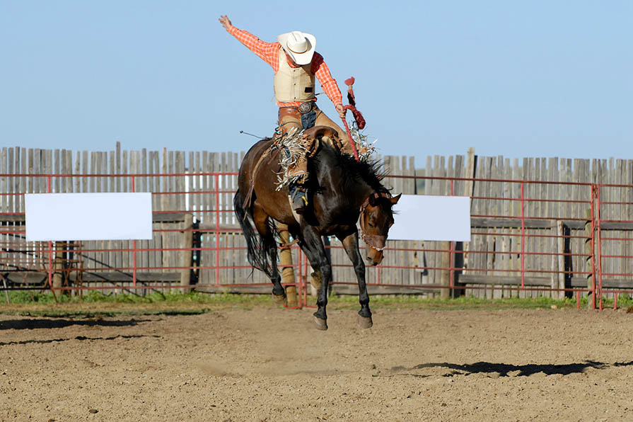 Rodeo: Tierquälerei beim Rodeo, Bullenreiten & Co.