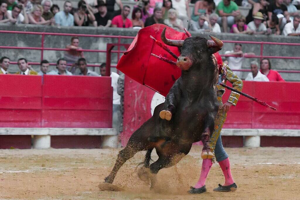Matador kämpft mit Stier
