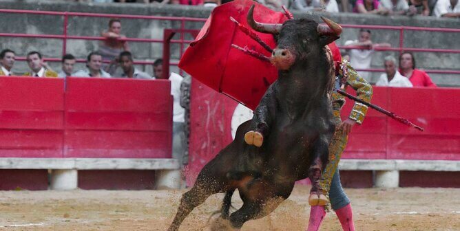 Matador kaempft mit Stier