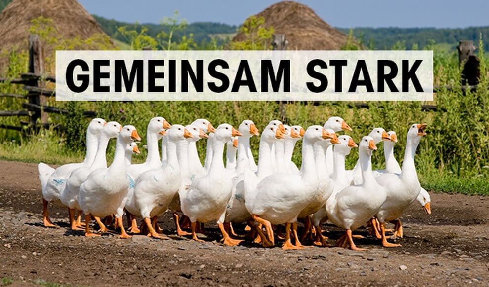 Gaense Gemeinsam Stark