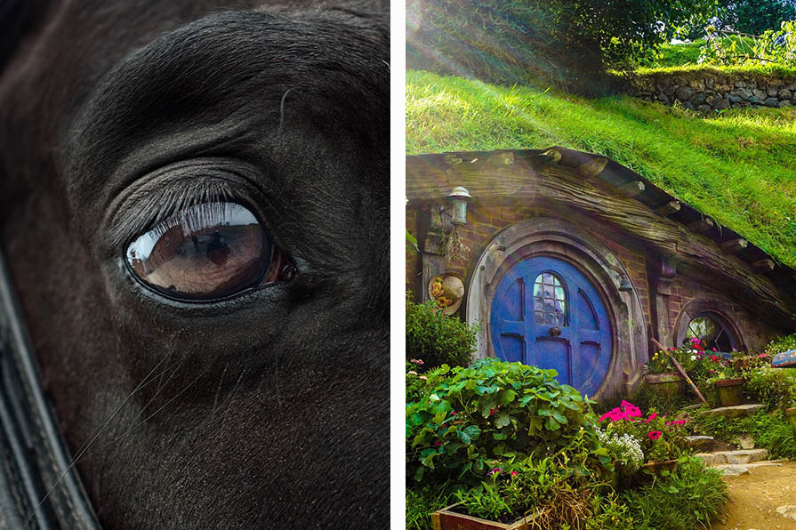Der Hobbit: Pferde, Ziegen und Schafe beim Filmdreh getötet