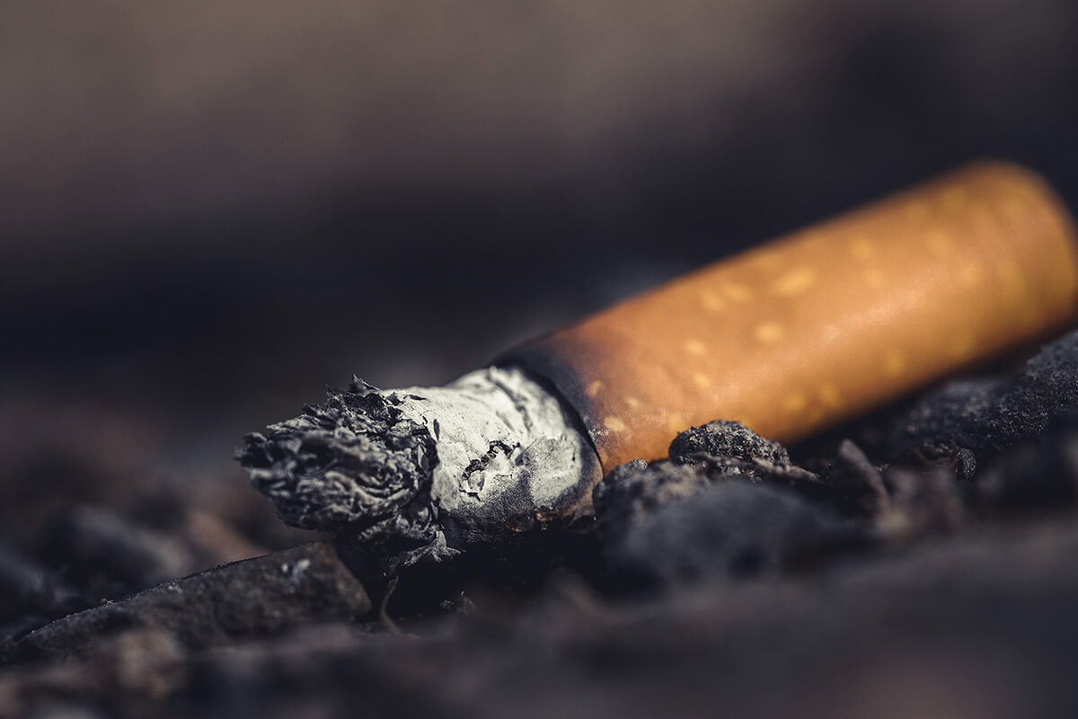 Tierversuche für Zigaretten: Werden Tabakprodukte an Tieren getestet?