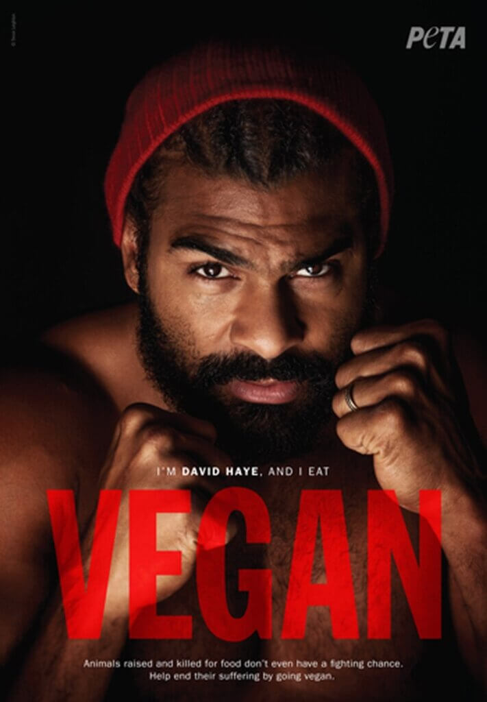 David Haye PETA Anzeige