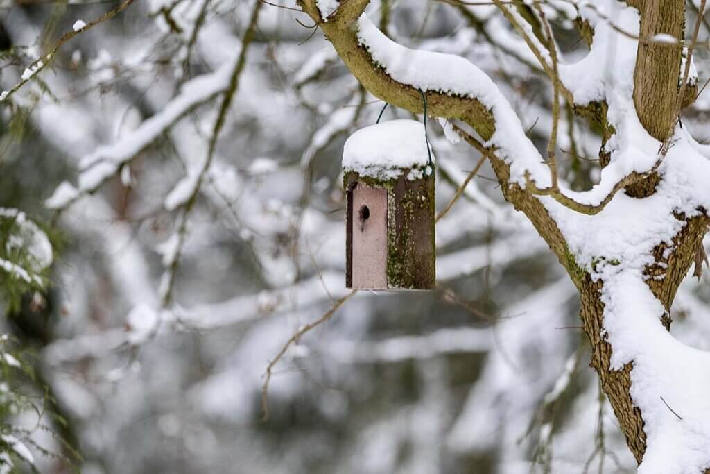 vogelhaus im winter
