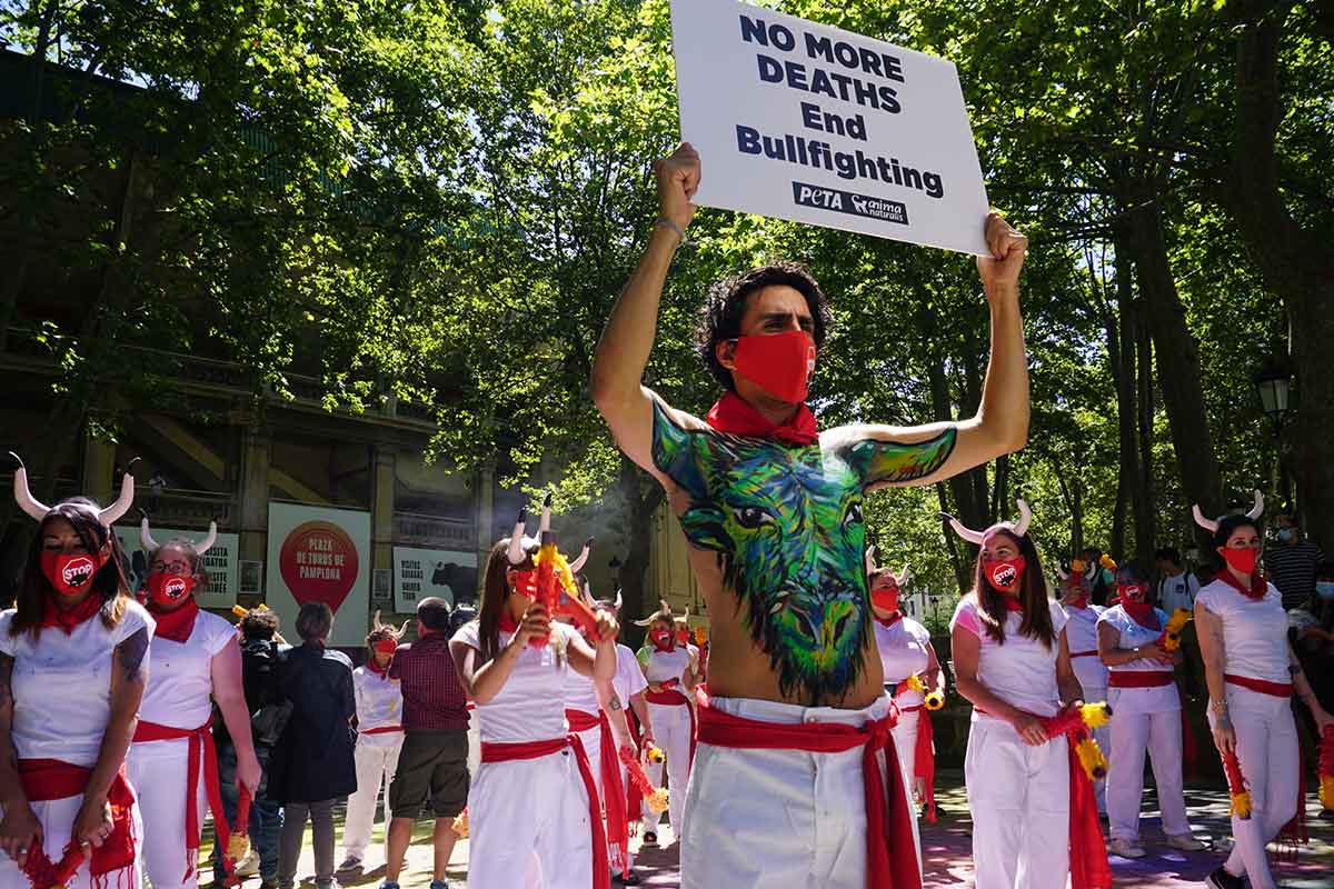 Demonstration gegen Stierhatz