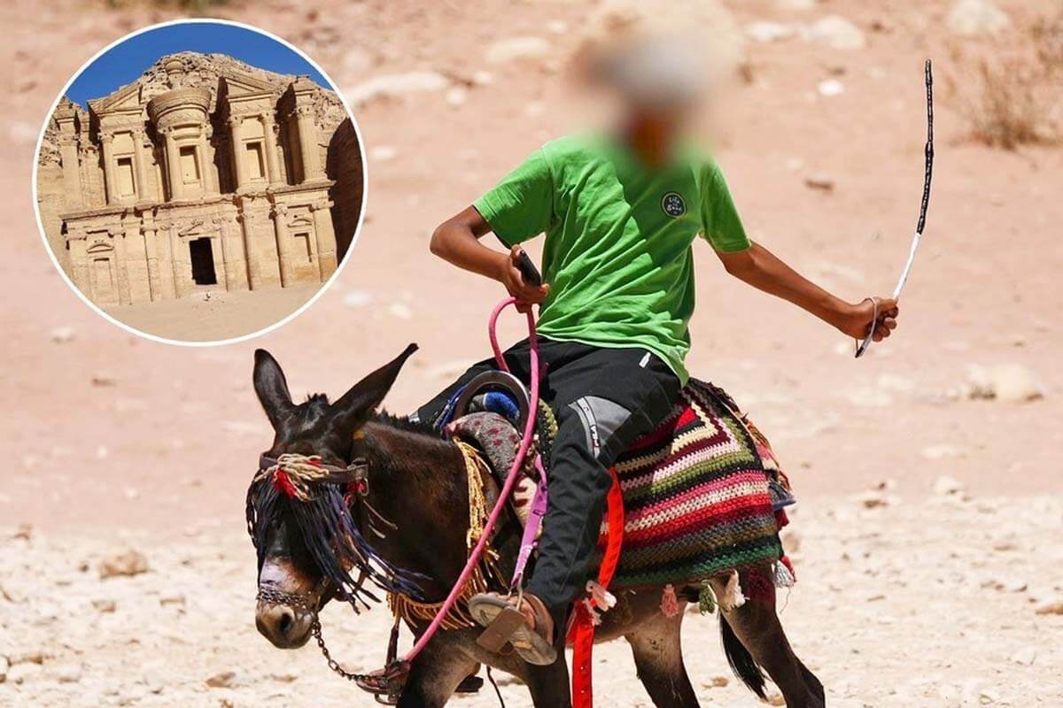 Felsenstadt Petra: Das Leid der Tiere am Kulturdenkmal Petra