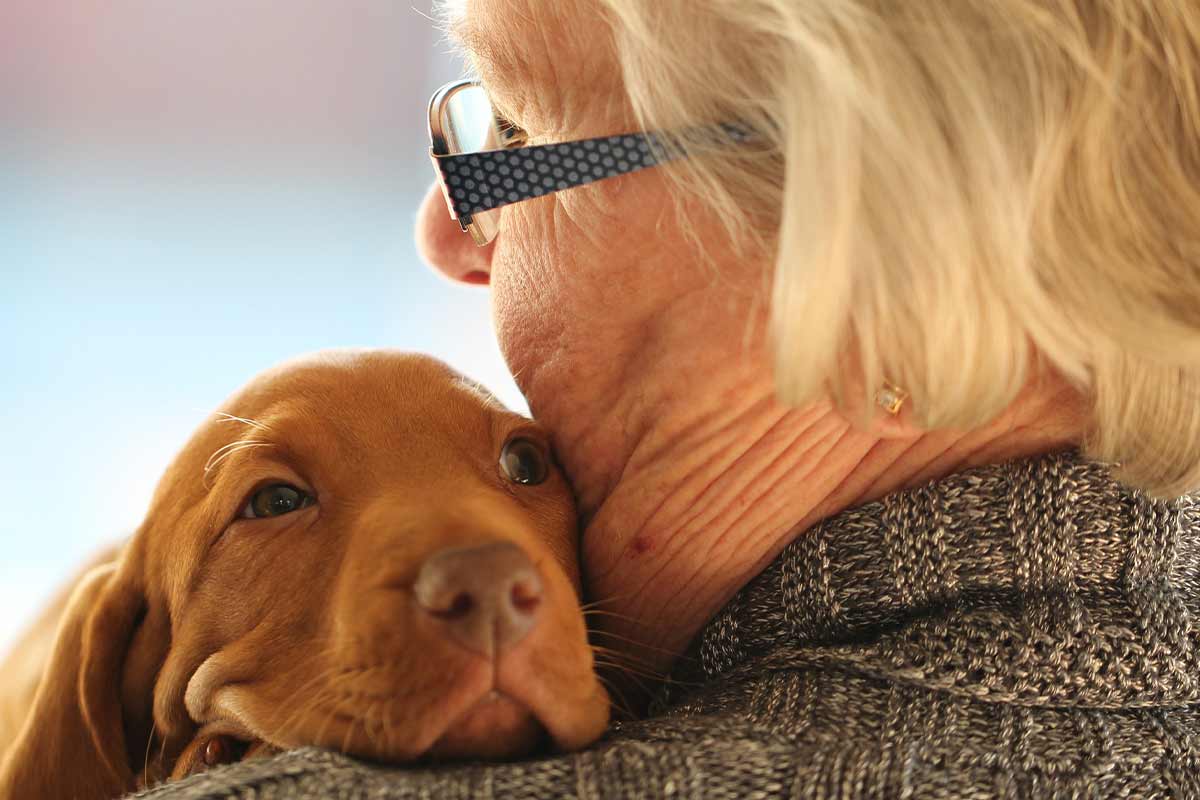 Wenn der Mensch stirbt: Tipps zur Vorsorge für Hund, Katze & Co.