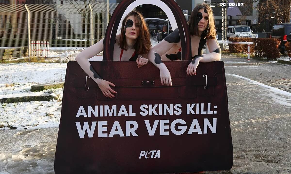 PETA protestiert gegen Leder