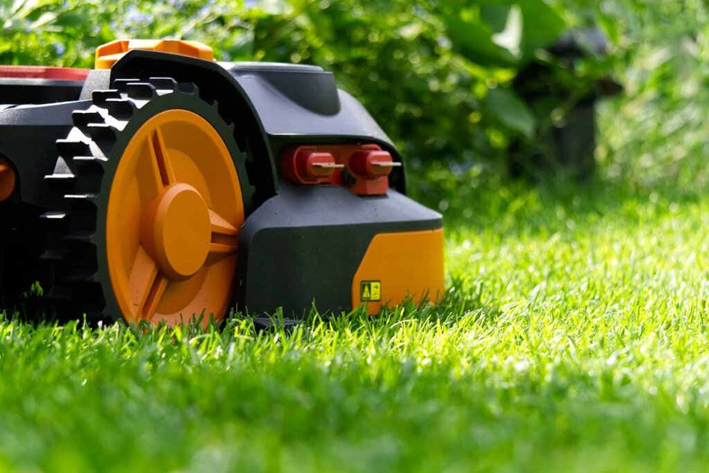 Maehroboter auf dem Rasen