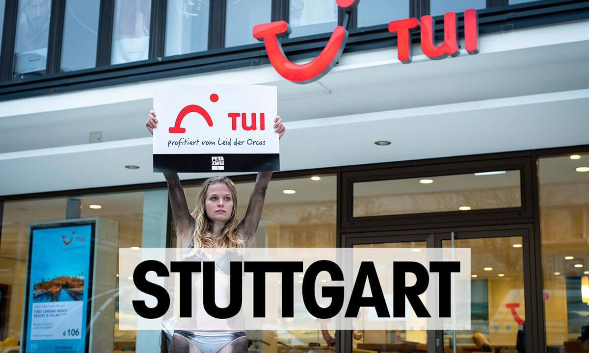 Demonstration in Stuttgart gegen Tui