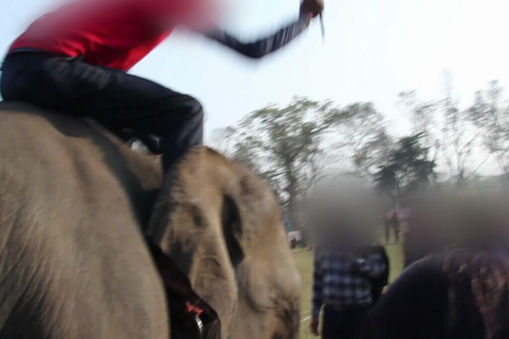 Mann schlaegt auf Elefant ein