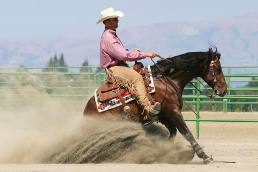 Mann reitet auf einem Pferd im Reining Stil.