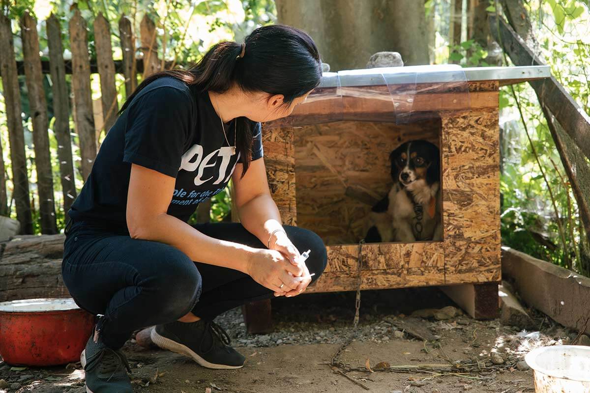 PETA Mitarbeiterin kniet vor Hundehuette