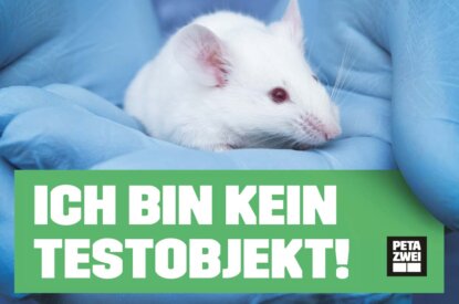 PETA Poster Tierversuche an Maeusen