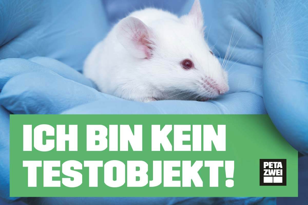 Plakate gegen Tierversuche – jetzt kostenloses Demopaket bestellen!