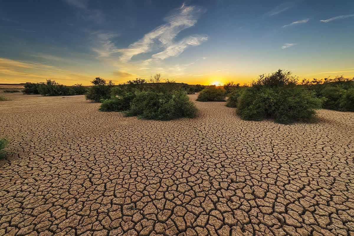 Bodendegradation: Auswirkungen der Tierwirtschaft auf Böden