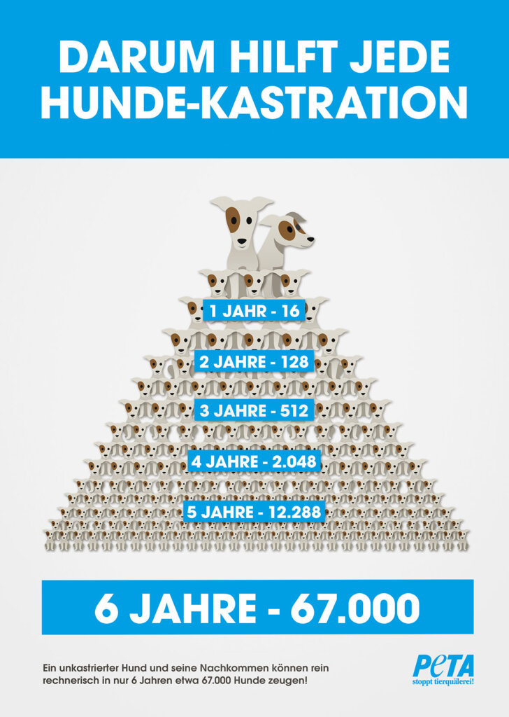 Infografik Hundekastration