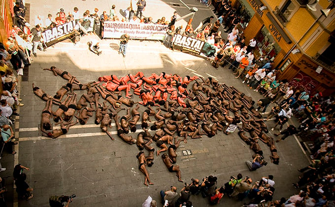 Demonstration gegen Stierhatz