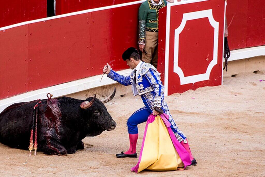 Matador stabs bull in arena