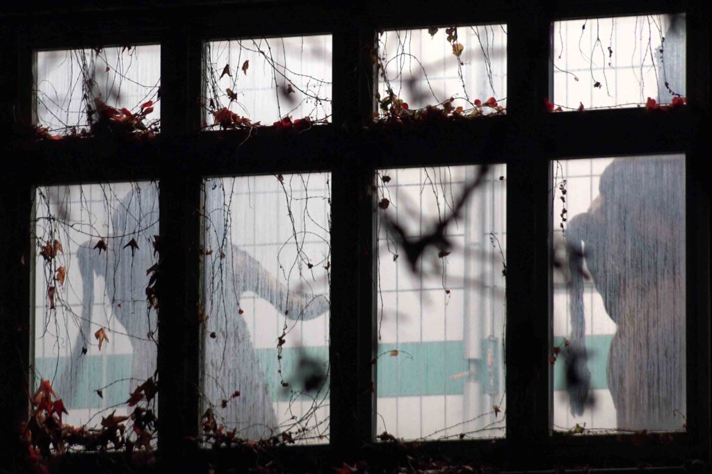 Schlachthof Fenster