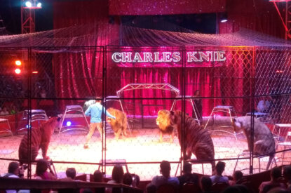 Dompteur in der Manege bei Zirkus Charles Knie