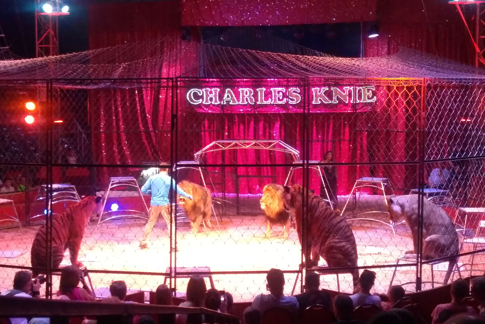 Zirkus Charles Knie – Chronik der Tierschutzverstöße und weitere Vorfälle