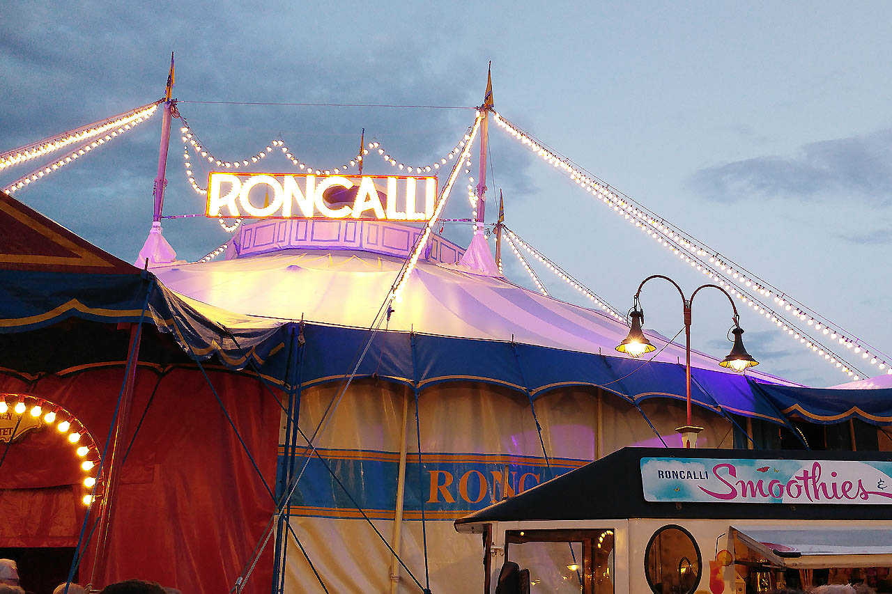 Warum Circus Roncalli der tierfreundlichste Zirkus ist