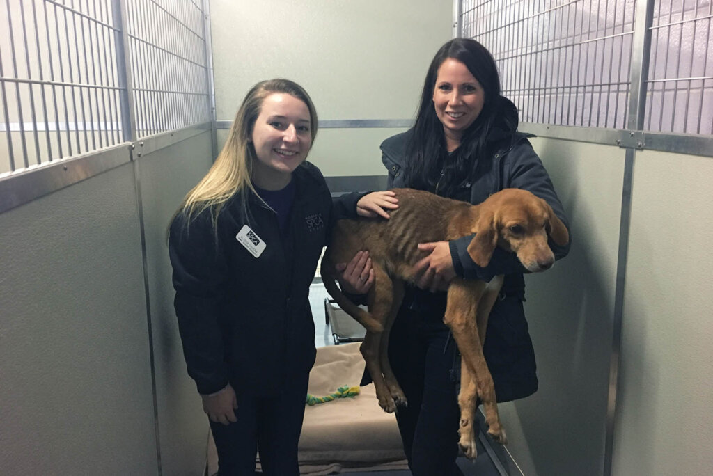 PETA Fieldworker mit Hund im Arm