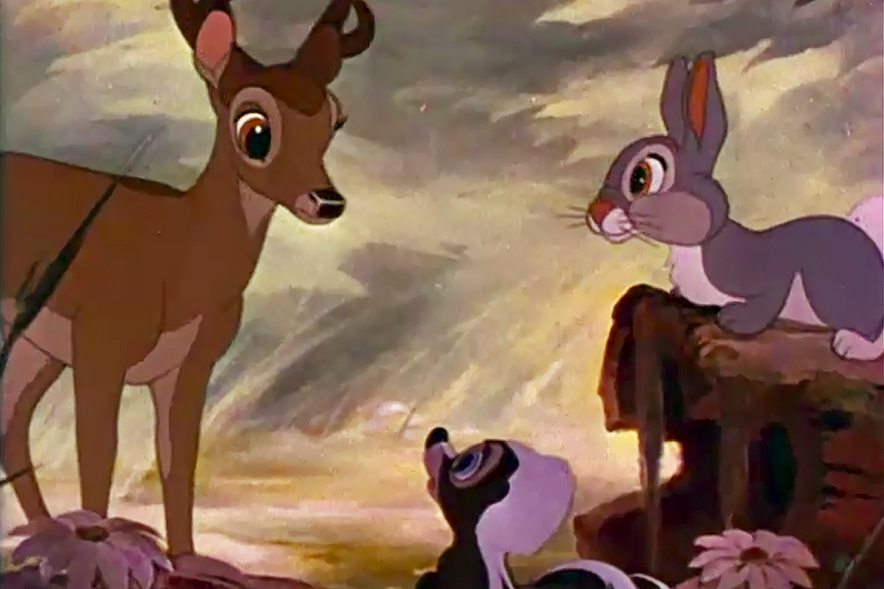 Deshalb fordern wir, dass sich jeder Jäger „Bambi“ anschauen muss