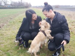 Hund Polly wird von Menschen gestreichelt