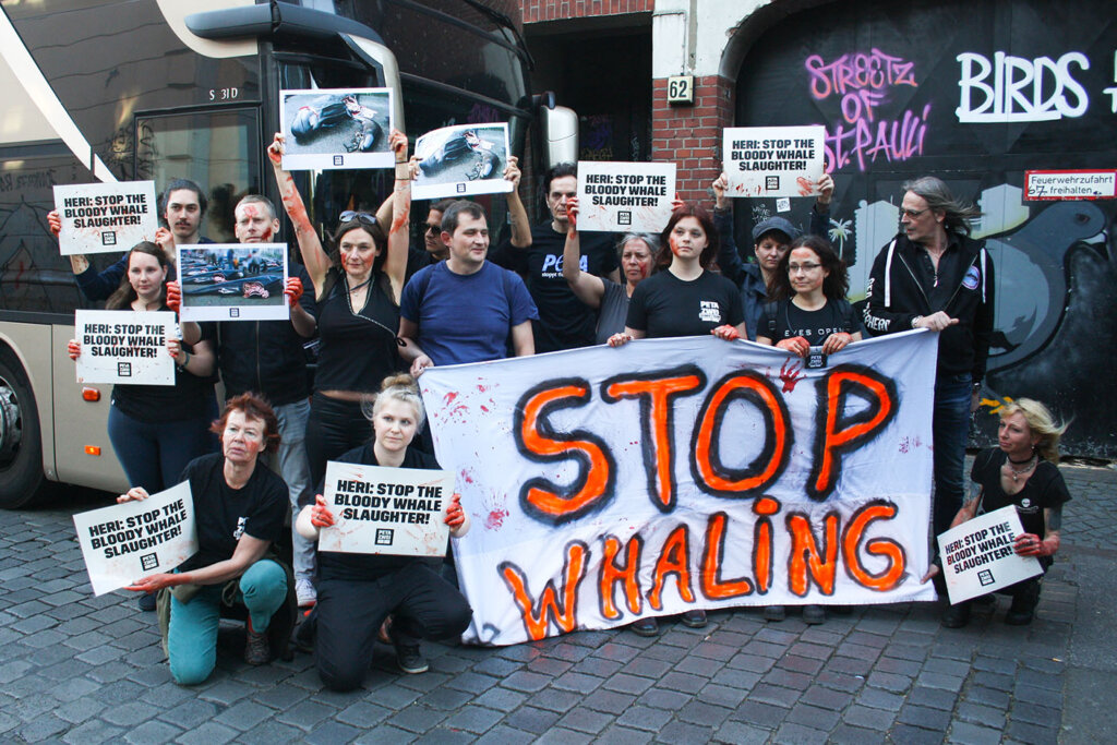 Demonstration gegen Walfang