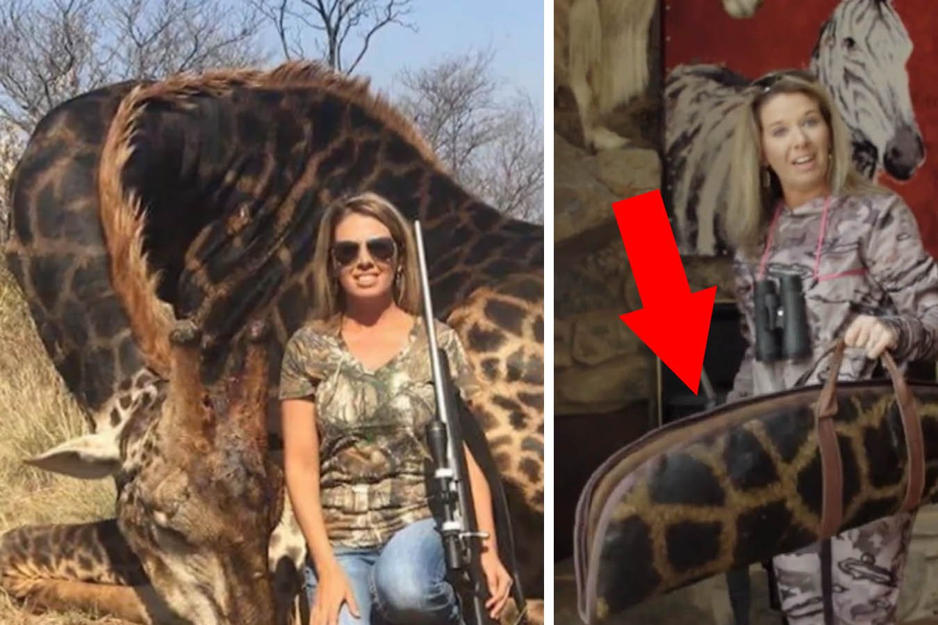 Diese Jägerin freut sich, eine seltene Giraffe erschossen zu haben