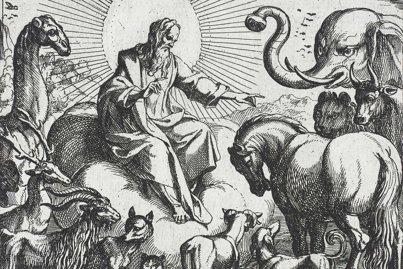 Das Tier als Mitgeschöpf – die Position der evangelischen Kirche