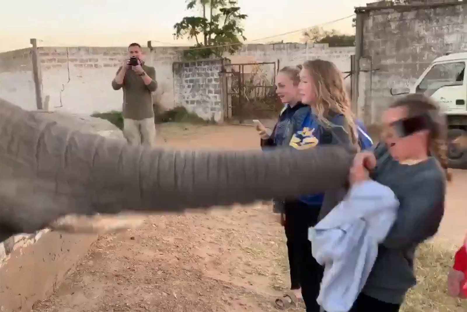 VIDEO: Elefant schlägt Touristin das Handy aus der Hand