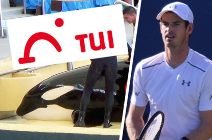 Collage Walshow und Andy Murray