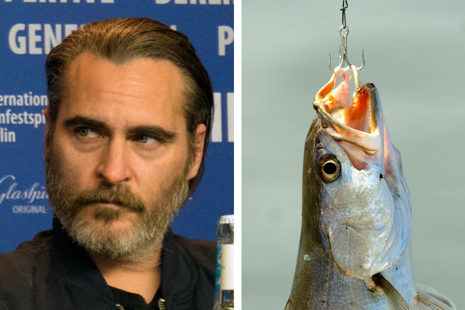 Joaquin Phoenix im Interview: Warum er als Kind vegan wurde
