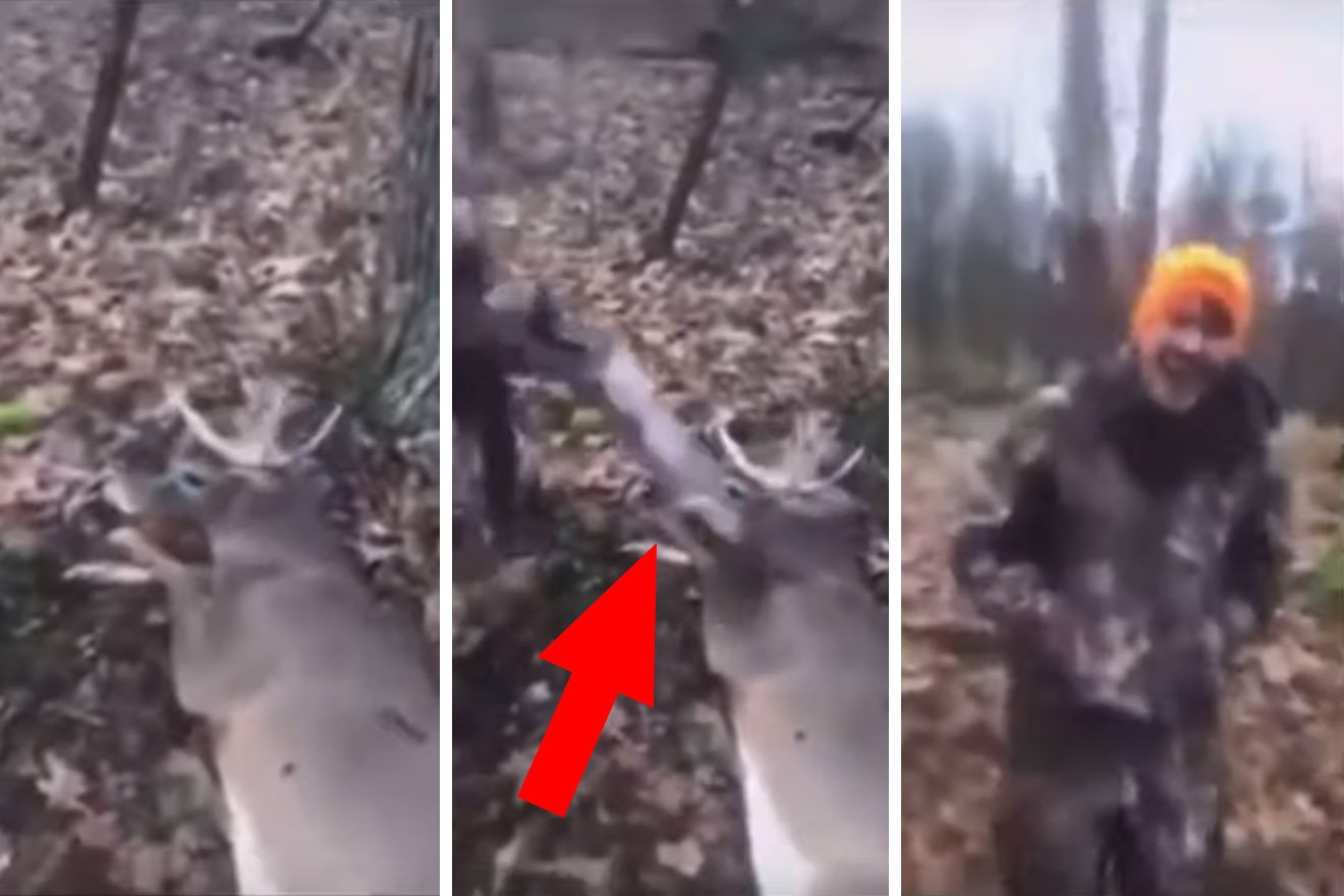 Video: Jäger tritt einem Hirsch brutal ins Gesicht und findet das lustig!