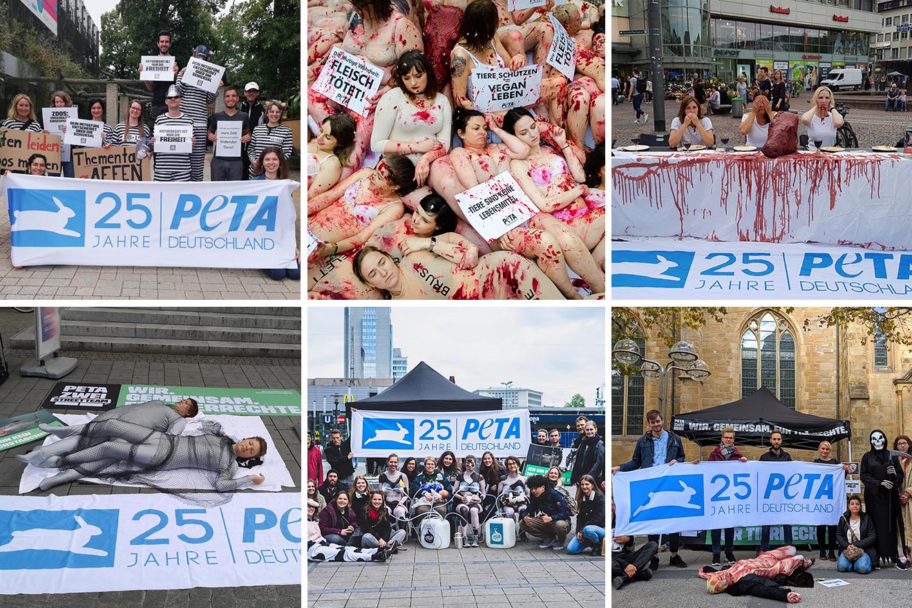 Diese 6 Aktionen ließ PETA zum 25-jährigen Jubiläum wieder aufleben