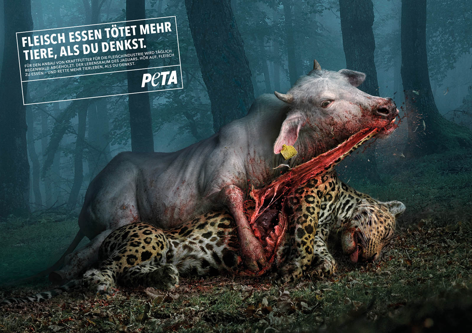 Kuh frisst Jaguar PETA Plakat Motiv