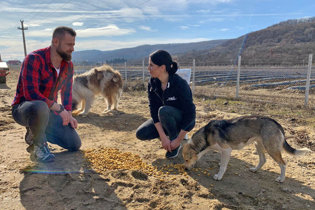 Welpentrainer von Sixx und PETA Mitarbeiterin fuettern einen Hund
