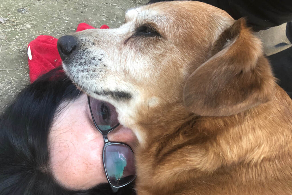Hund von Ulli Reichmann