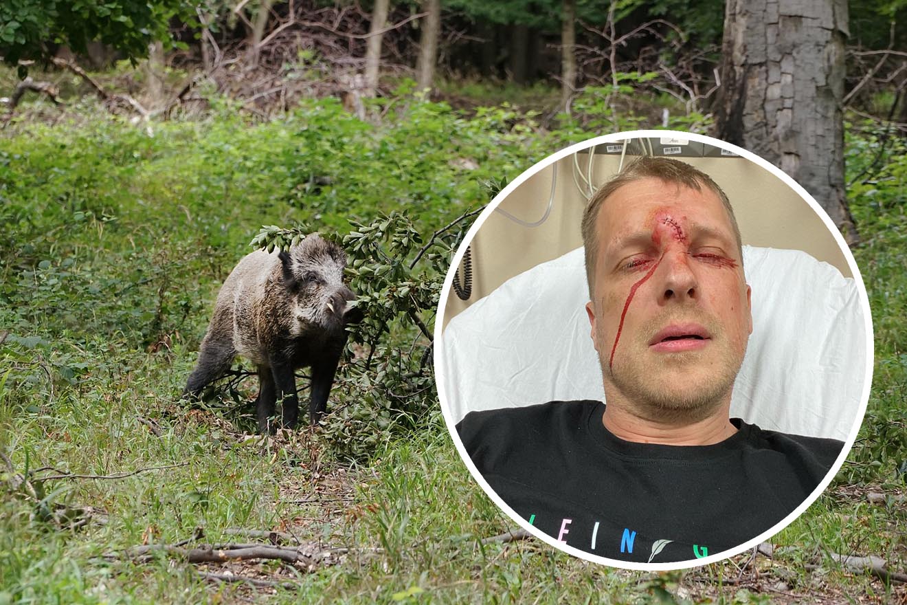 Jagdunfall: Oliver Pocher wird bei Wildschweinjagd verletzt