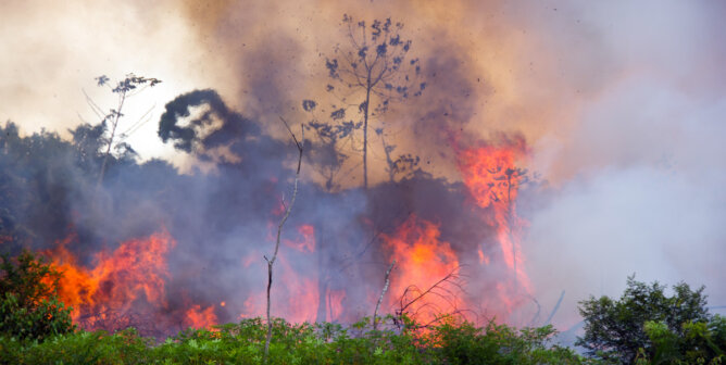 Brennender Amazonaswald