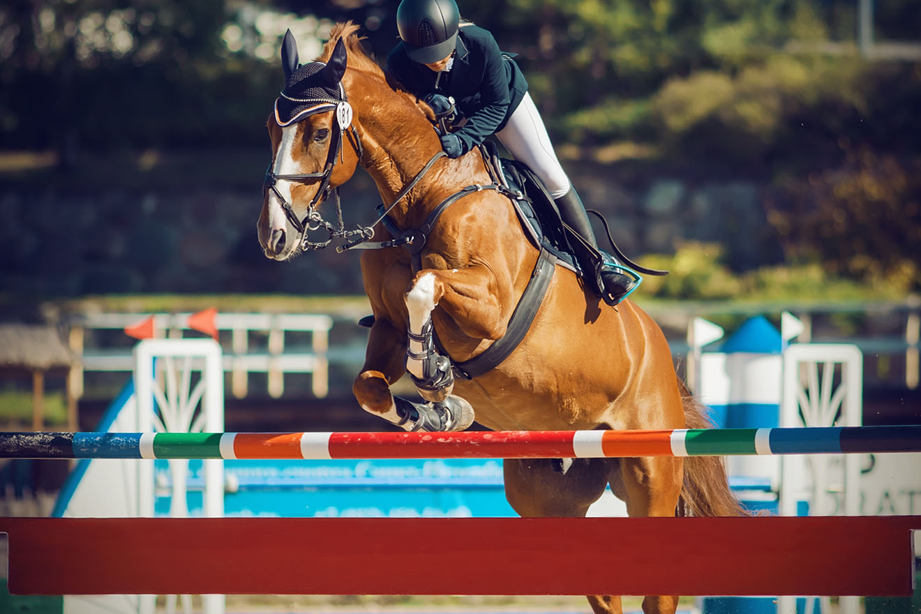 Reitsport: Diese 2 Dopingmittel sind jetzt zugelassen