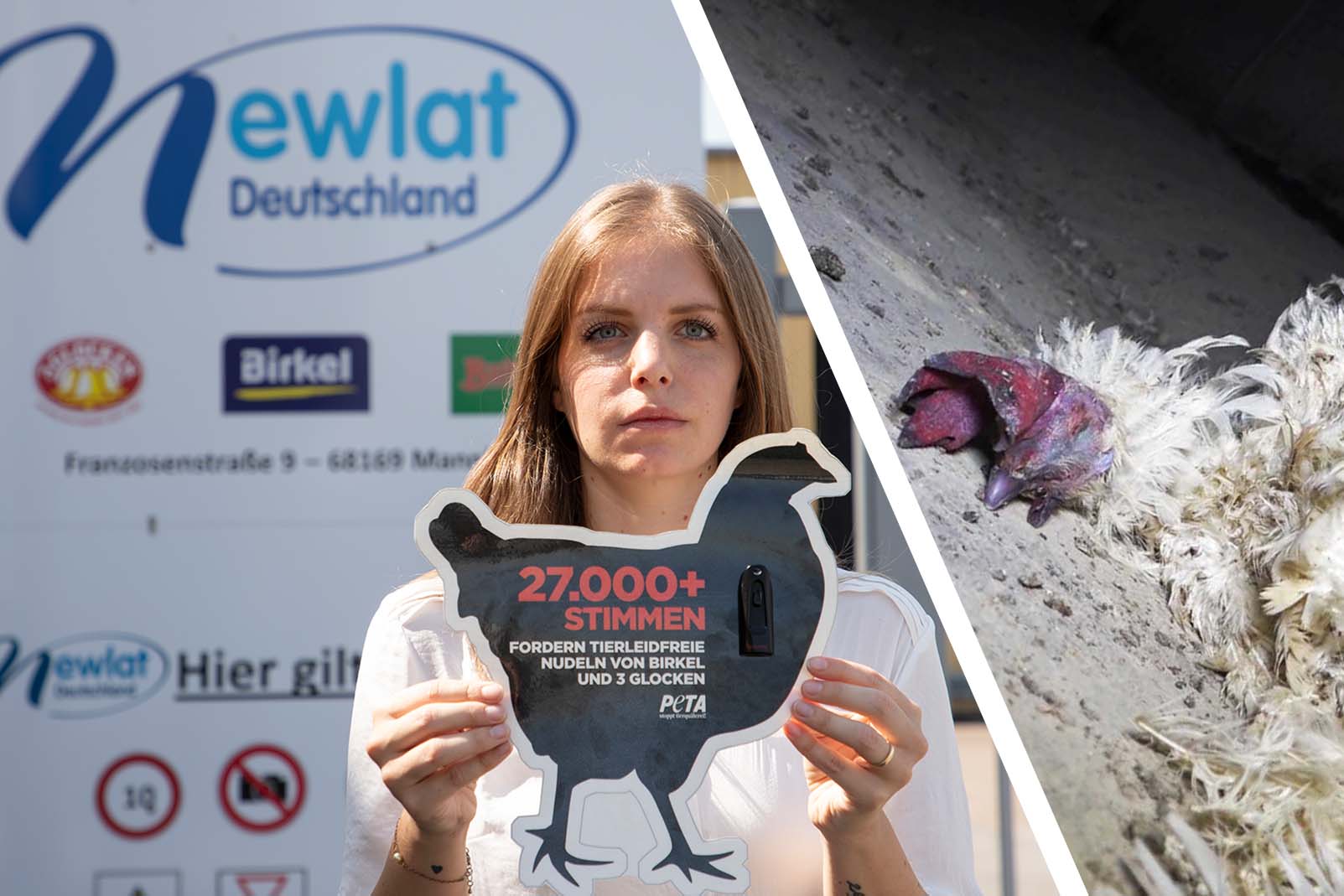 Über 27.000 Stimmen für die Tiere! Doch Birkel verweigert die Annahme!