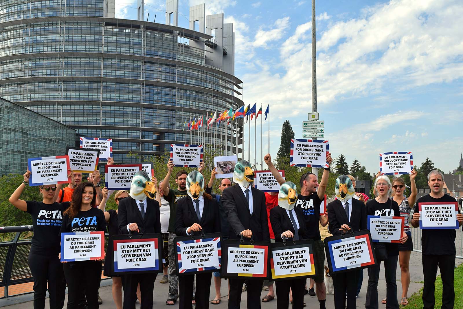 PETA Germany’s Activist Network in Eastern Europe