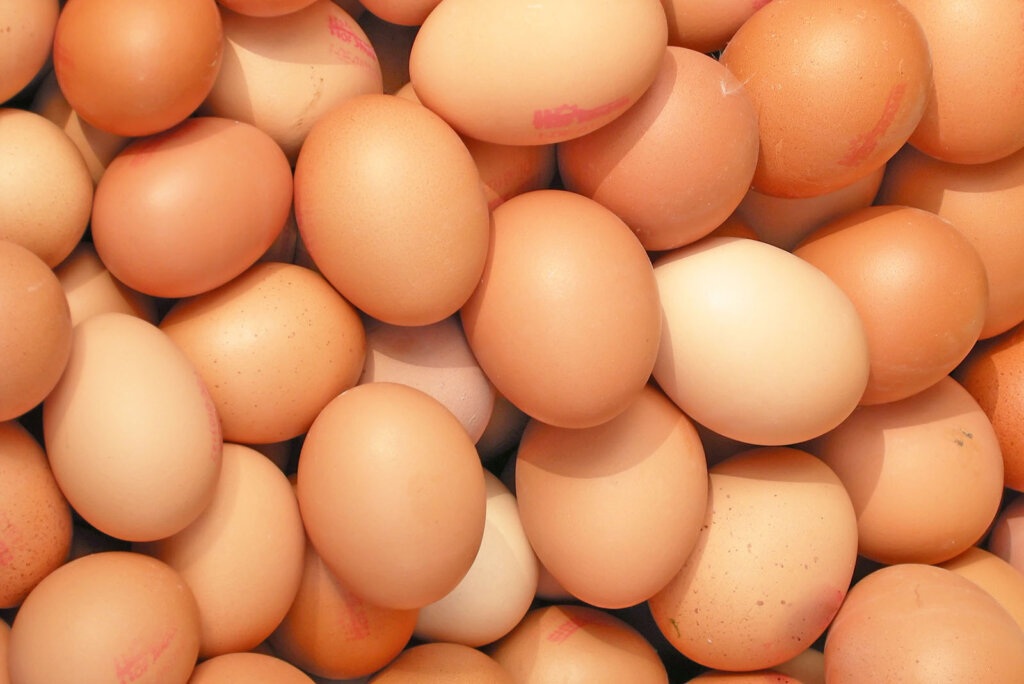 Eier
