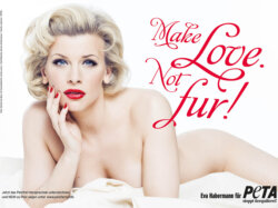 PETA Motiv Eva Haermann